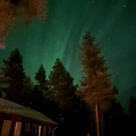 Hirvikari Rovaniemi * Jokela (Lapland)