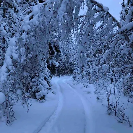 Villa Hirvikari Rovaniemi