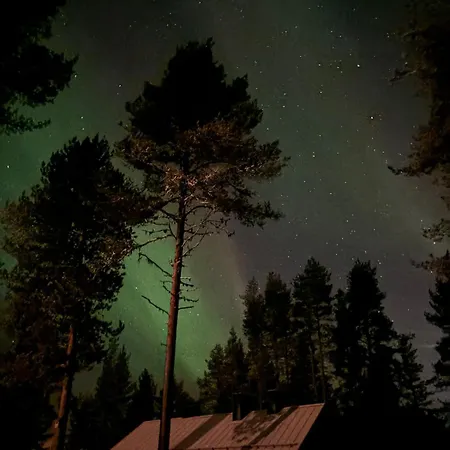 Hirvikari Rovaniemi Villa *
