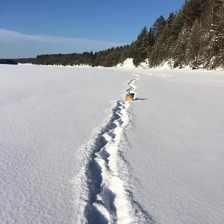 Villa Hirvikari Rovaniemi Jokela (Lapland)