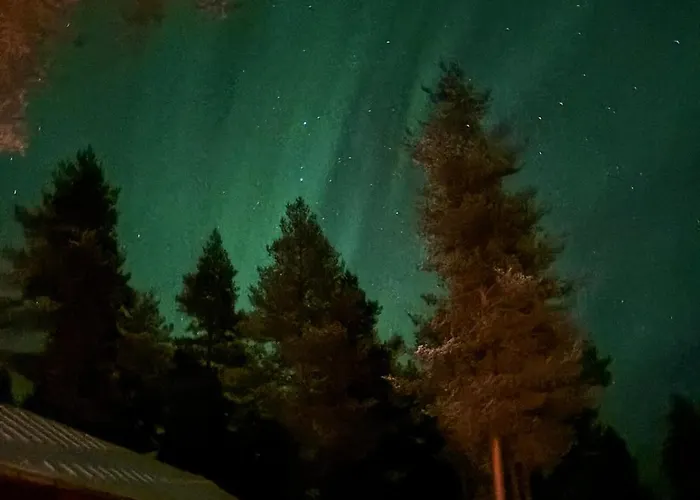 Hirvikari Rovaniemi * Jokela (Lapland)