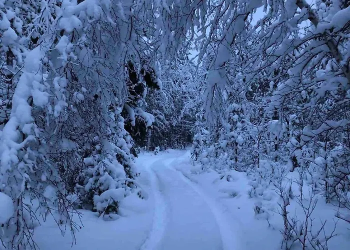 别墅 Hirvikari Rovaniemi