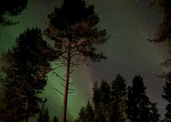 Hirvikari Rovaniemi 别墅 *