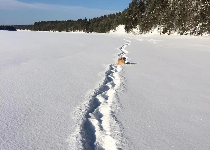 别墅 Hirvikari Rovaniemi Jokela (Lapland)